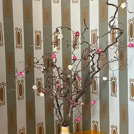 Geister * Naumburg (Saale)