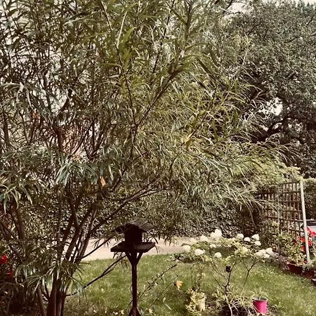 Appartement Geister *