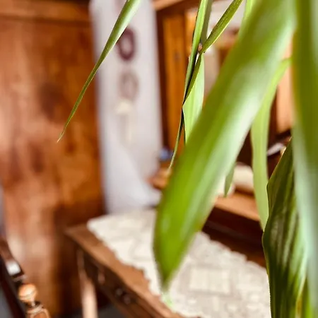 Geister شقة ناومبورغ