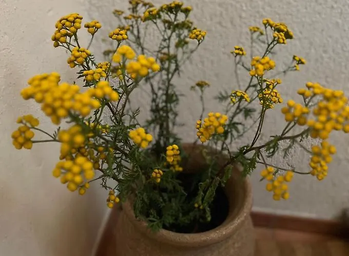 Apartman Geister Naumburg