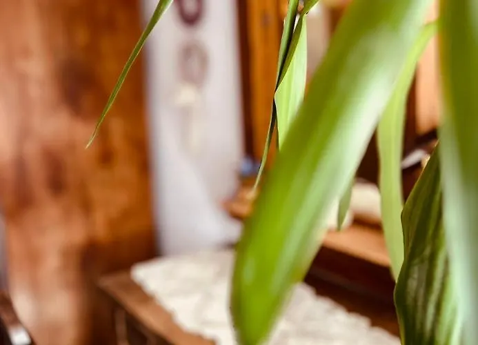 Geister شقة ناومبورغ